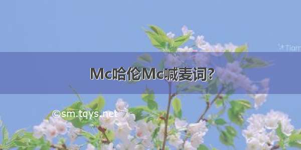 Mc哈伦Mc喊麦词?