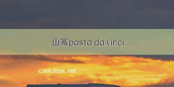 山寨pasta da vinci