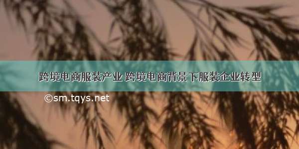 跨境电商服装产业 跨境电商背景下服装企业转型