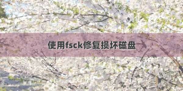 使用fsck修复损坏磁盘