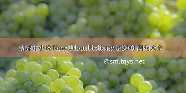 新都市小说 New Urban Fiction英语短句 例句大全