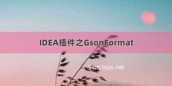 IDEA插件之GsonFormat