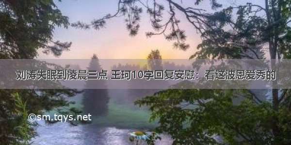 刘涛失眠到凌晨三点 王珂10字回复安慰：看这波恩爱秀的