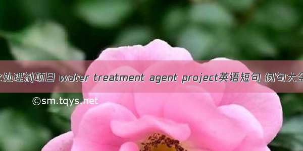 水处理剂项目 water treatment agent project英语短句 例句大全
