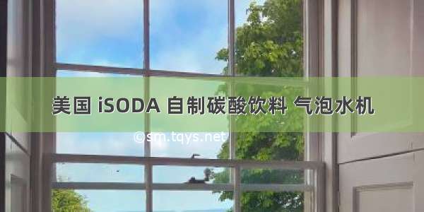 美国 iSODA 自制碳酸饮料 气泡水机