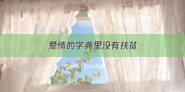 爱情的字典里没有扶贫