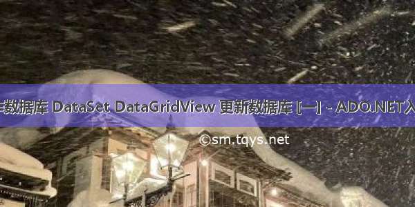 C#操作数据库 DataSet DataGridView 更新数据库 [一] - ADO.NET入门之中