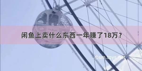 闲鱼上卖什么东西一年赚了18万？