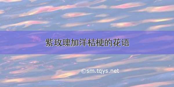 紫玫瑰加洋桔梗的花语