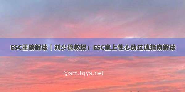 ESC重磅解读丨刘少稳教授：ESC室上性心动过速指南解读