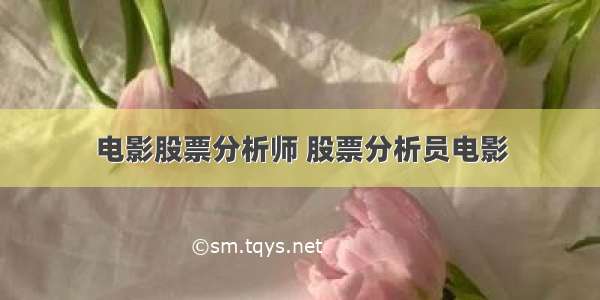 电影股票分析师 股票分析员电影