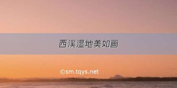 西溪湿地美如画