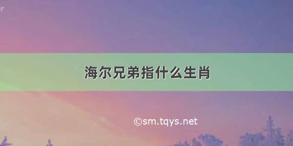 海尔兄弟指什么生肖