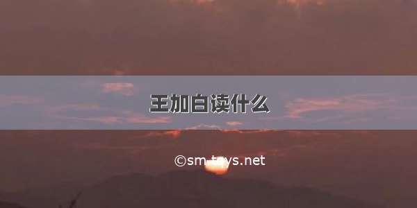 王加白读什么