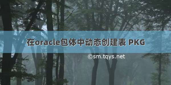 在oracle包体中动态创建表 PKG