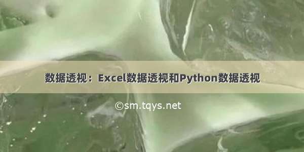 数据透视：Excel数据透视和Python数据透视