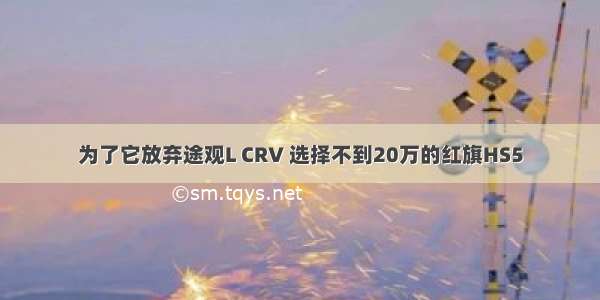 为了它放弃途观L CRV 选择不到20万的红旗HS5