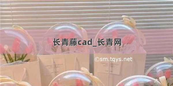 长青藤cad_长青网