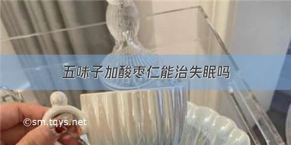 五味子加酸枣仁能治失眠吗