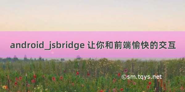 android_jsbridge 让你和前端愉快的交互