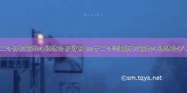 十二个开刀宣战心得体会及收获 向十二个问题开刀宣战心得体会(八篇)