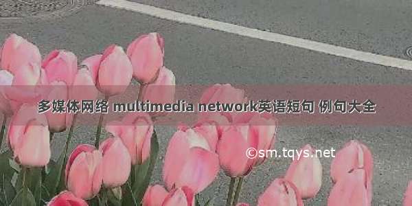 多媒体网络 multimedia network英语短句 例句大全