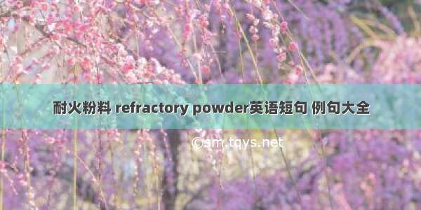 耐火粉料 refractory powder英语短句 例句大全