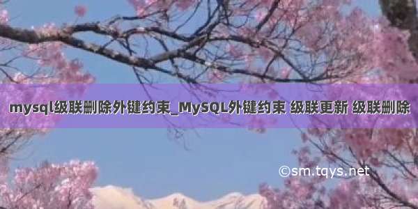 mysql级联删除外键约束_MySQL外键约束 级联更新 级联删除