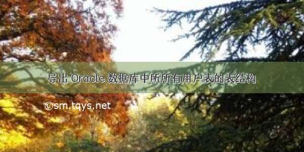 导出 Oracle 数据库中所所有用户表的表结构