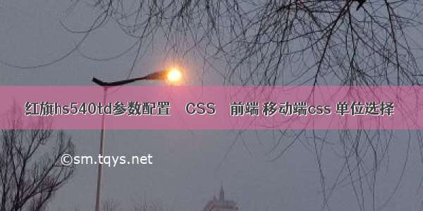 红旗hs540td参数配置 – CSS – 前端 移动端css 单位选择