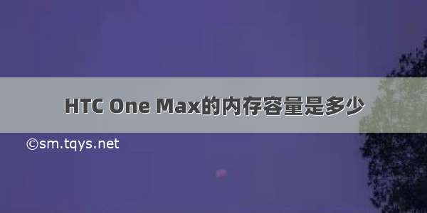 HTC One Max的内存容量是多少