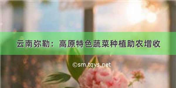 云南弥勒：高原特色蔬菜种植助农增收