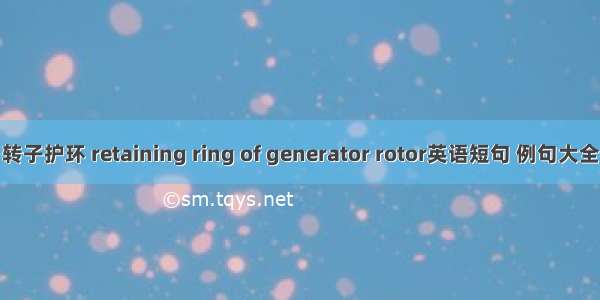 转子护环 retaining ring of generator rotor英语短句 例句大全