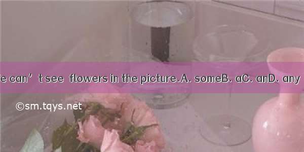 We can’t see  flowers in the picture.A. someB. aC. anD. any