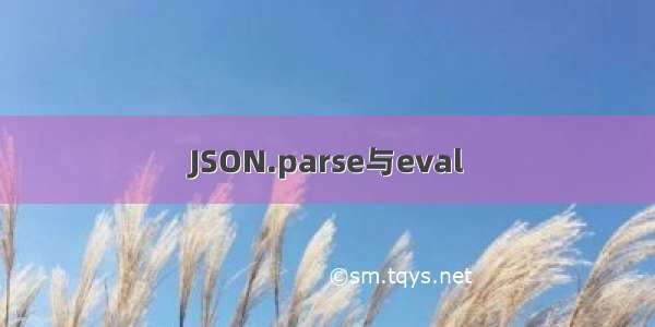 JSON.parse与eval