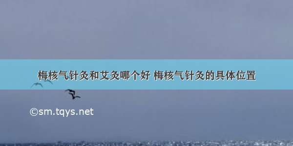 梅核气针灸和艾灸哪个好 梅核气针灸的具体位置