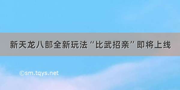 新天龙八部全新玩法“比武招亲”即将上线