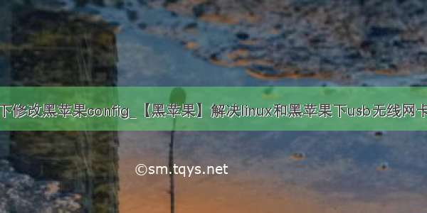 windows下修改黑苹果config_【黑苹果】解决linux和黑苹果下usb无线网卡兼容问题