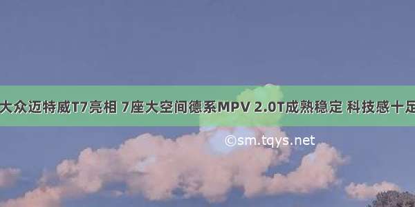 大众迈特威T7亮相 7座大空间德系MPV 2.0T成熟稳定 科技感十足