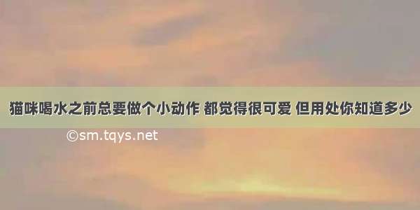 猫咪喝水之前总要做个小动作 都觉得很可爱 但用处你知道多少