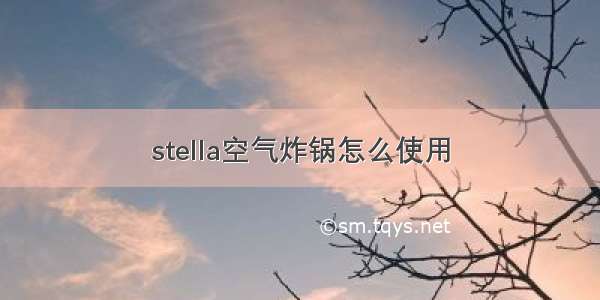 stella空气炸锅怎么使用