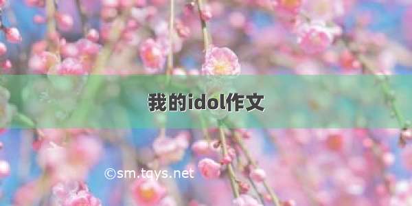 我的idol作文