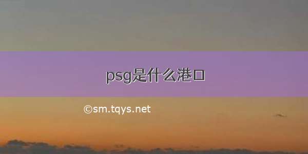 psg是什么港口