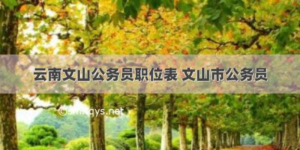 云南文山公务员职位表 文山市公务员