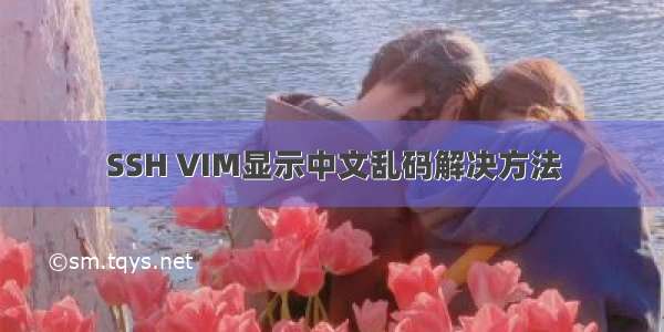 SSH VIM显示中文乱码解决方法