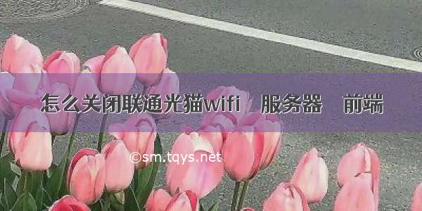 怎么关闭联通光猫wifi – 服务器 – 前端