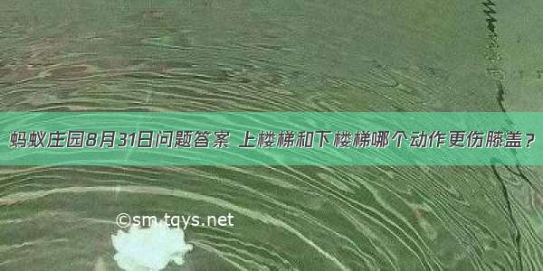 蚂蚁庄园8月31日问题答案 上楼梯和下楼梯哪个动作更伤膝盖？