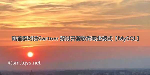 陆首群对话Gartner 探讨开源软件商业模式【MySQL】