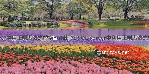 在sql server中用正则表达式替换html标签 SQL Server中利用正则表达式替换字符串