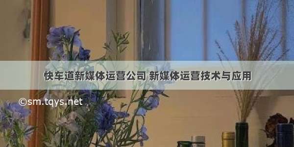 快车道新媒体运营公司 新媒体运营技术与应用